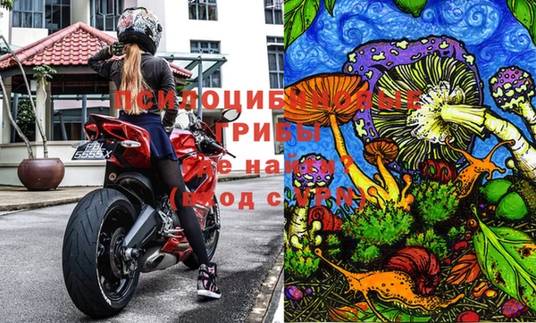 прущая мука Абаза
