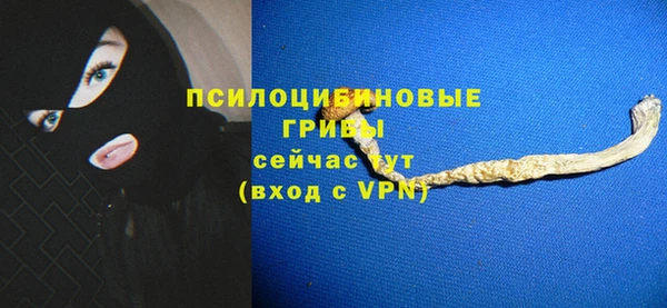 mdpv Новозыбков