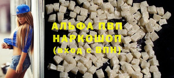 СК Новодвинск