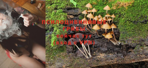 гидропоника Нягань